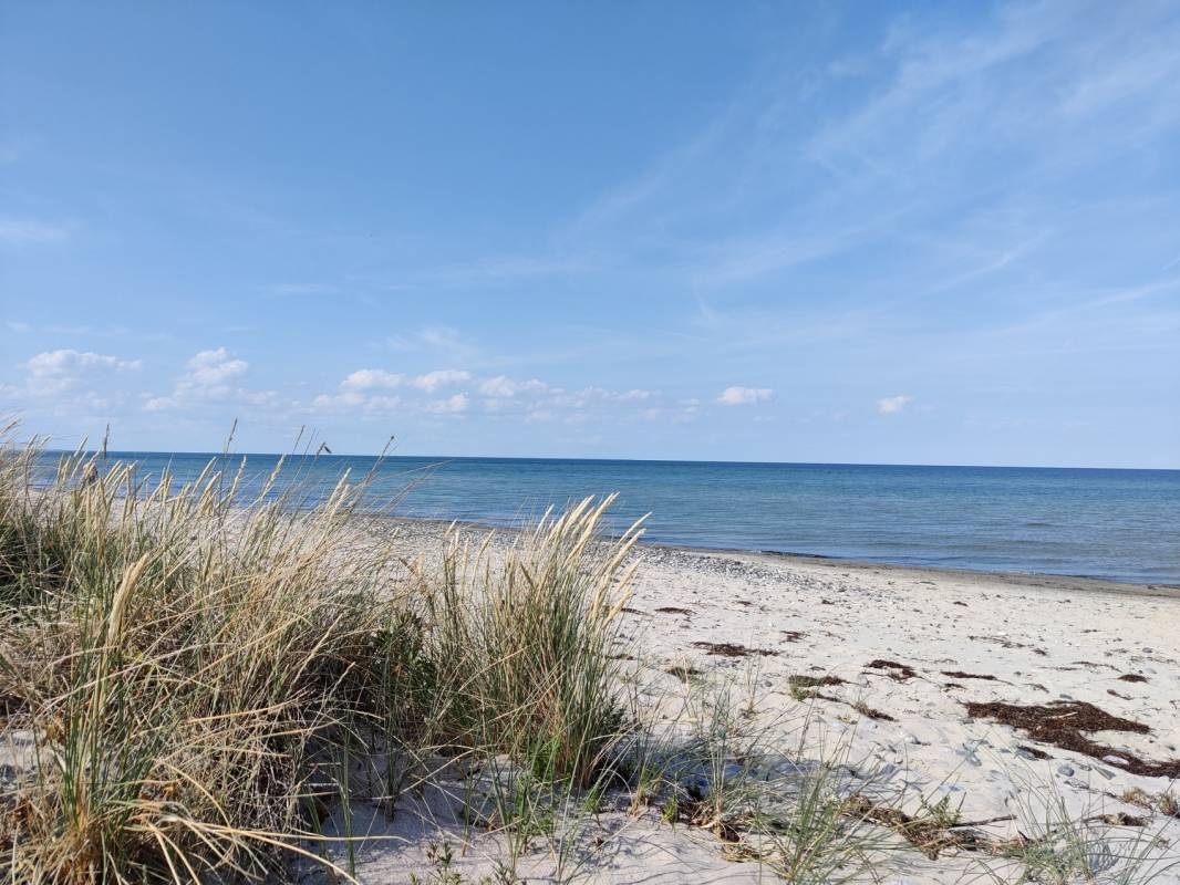 Møn Strand Camping — Місце для кемпінгу in Stege