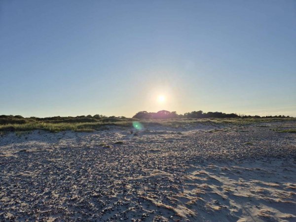 Møn Strand Camping — Foto 5