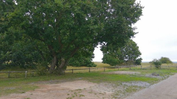 Møn Strand Camping — Photo 3