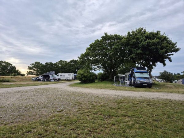 Møn Strand Camping — Foto 3