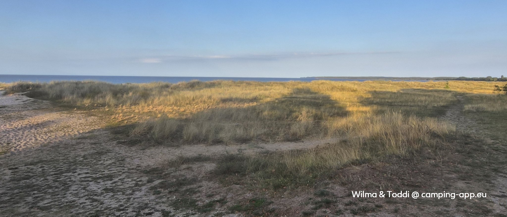 Møn Strand Camping — Foto 2