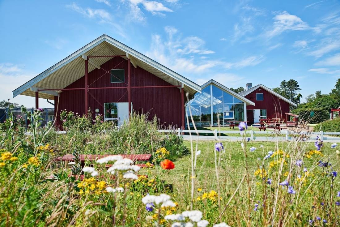 DanHostel Ishøj Strand — Campingplads in Ishøj Kommune