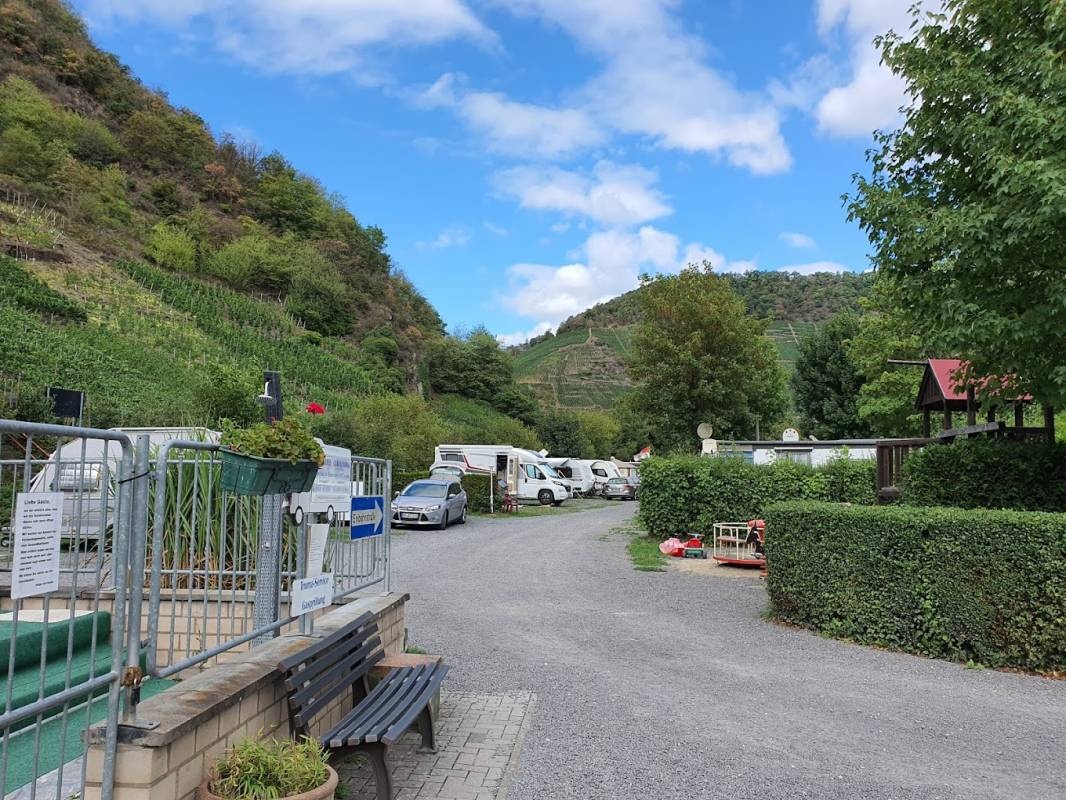Campingplatz zur Burgwiese — Kemping in Mayschoß