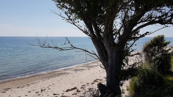 Campingplatz Seepark