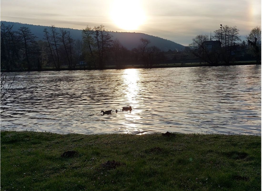 Aqua Camping — Camping in Klingenberg am Main