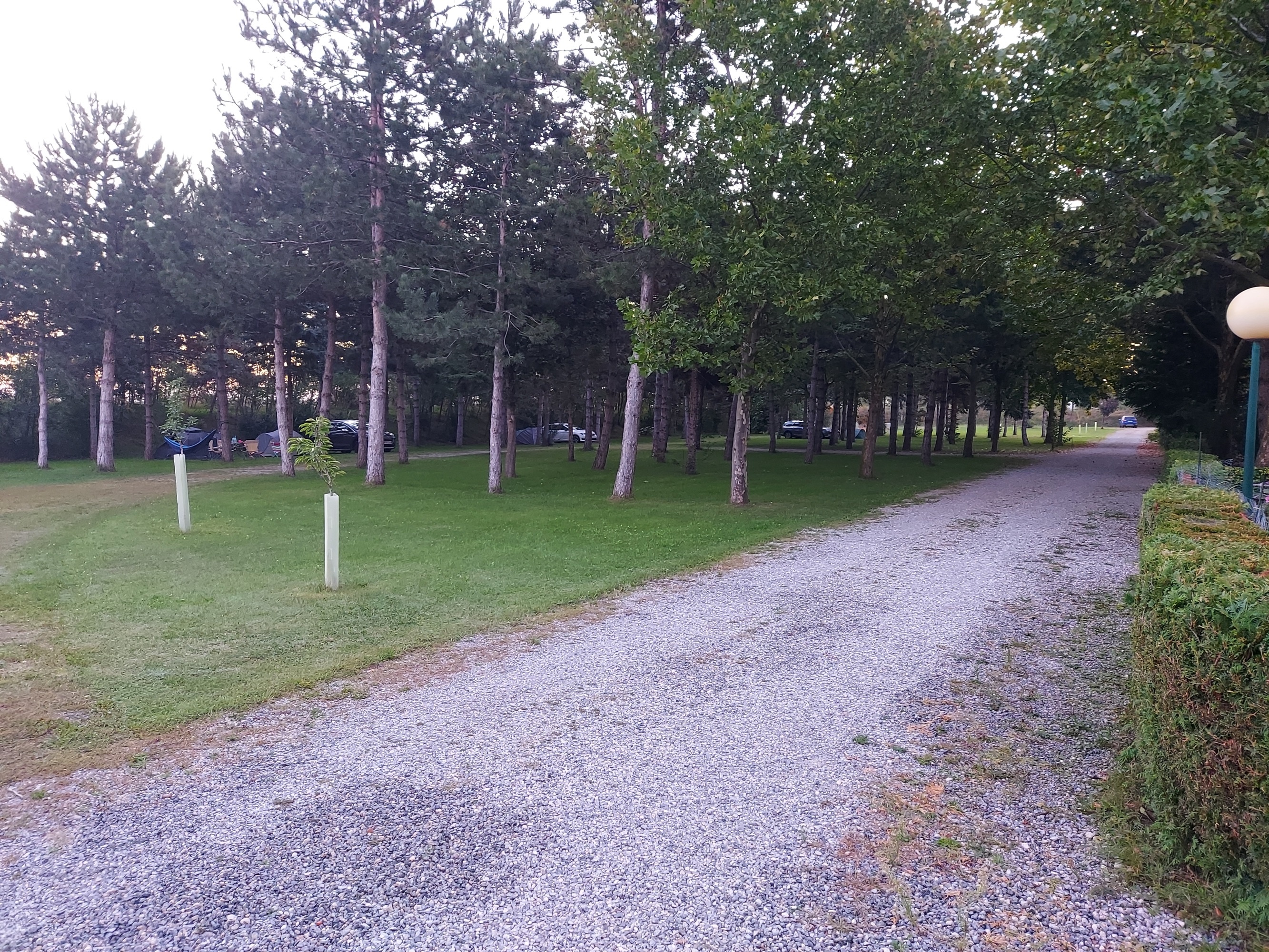 Camping Paula — Camping in Frauenkirchen