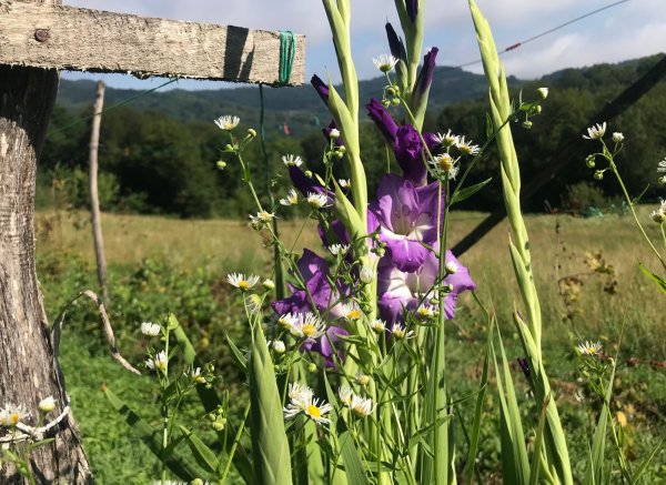Srebrenica — Photo 6