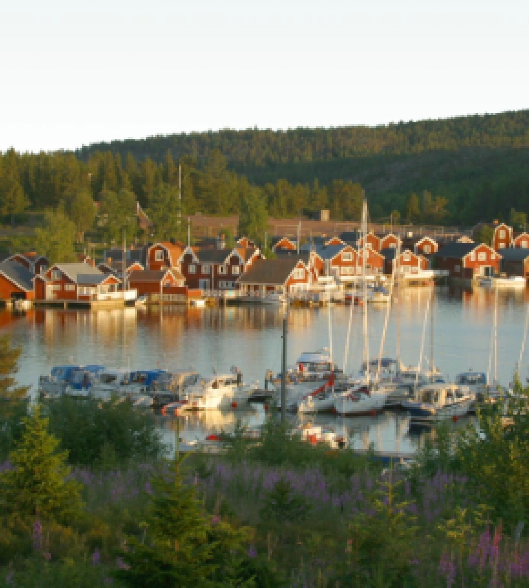 Norrfallsvikens Camping & Stugby — Kamp yeri in Nordingrå distrikt