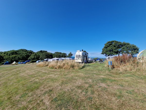 Watermouth Valley Camping Park — Foto 3
