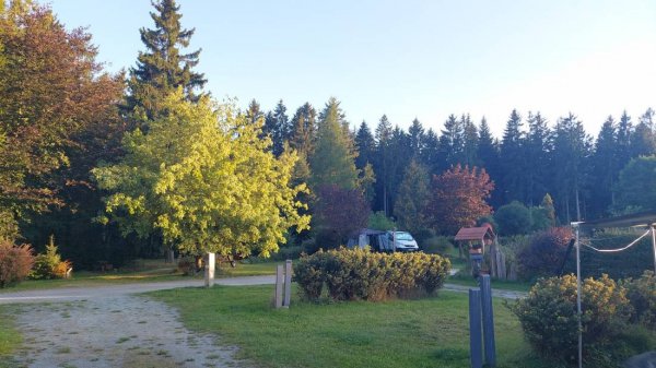 Waldcamping Erzgebirge (ab 18)