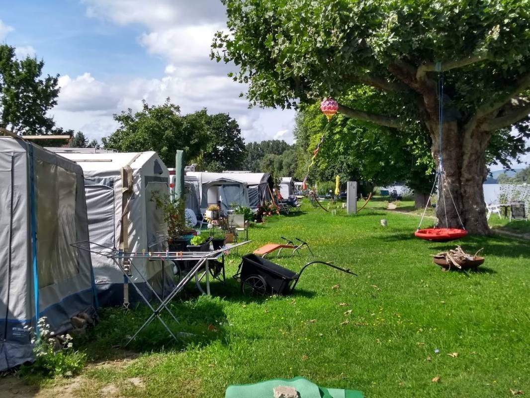 Inselrhein Heidenfahrt Campingplatz, Wein- und Biergarten — Campingplads in Ingelheim am Rhein