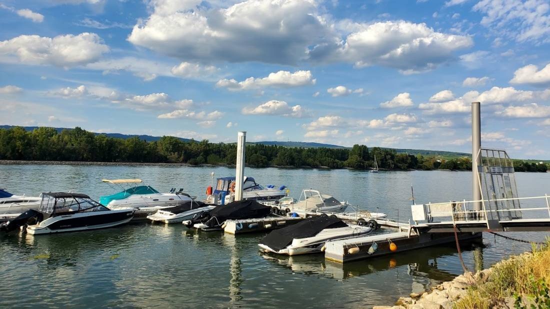 Inselrhein Heidenfahrt Campingplatz, Wein- und Biergarten — Camping in Ingelheim am Rhein