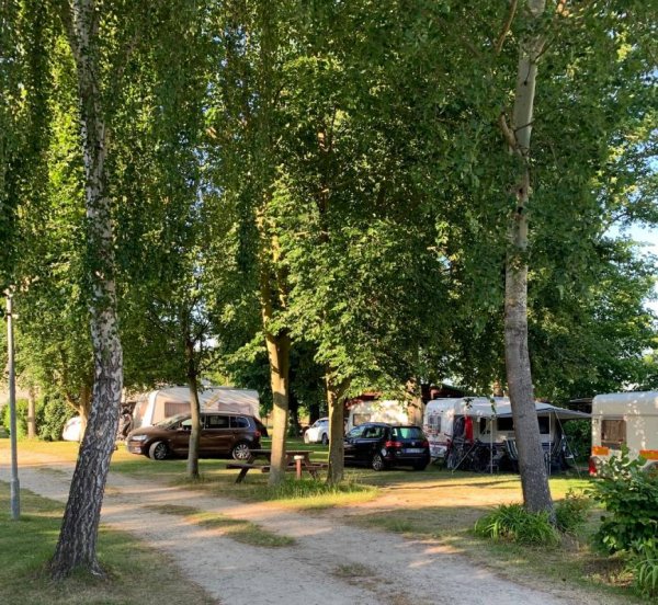 Campingplatz am Oderstrom — Photo 4