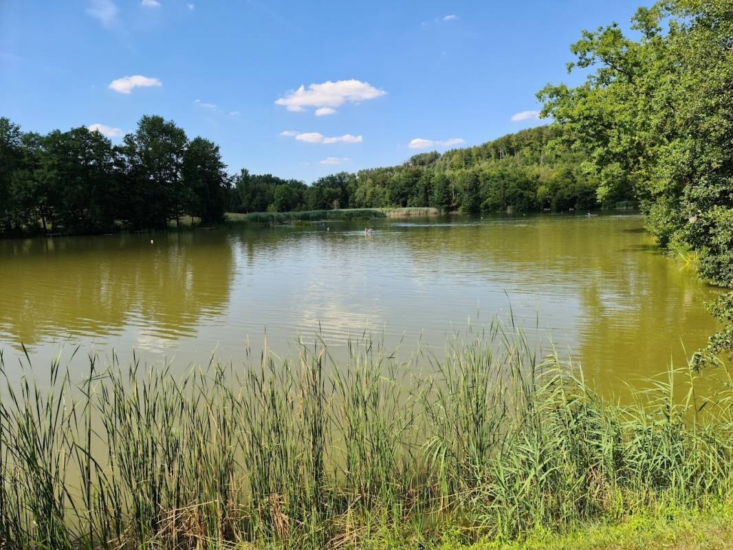 Campingplatz Neumühlsee — Місце для кемпінгу in Waldenburg