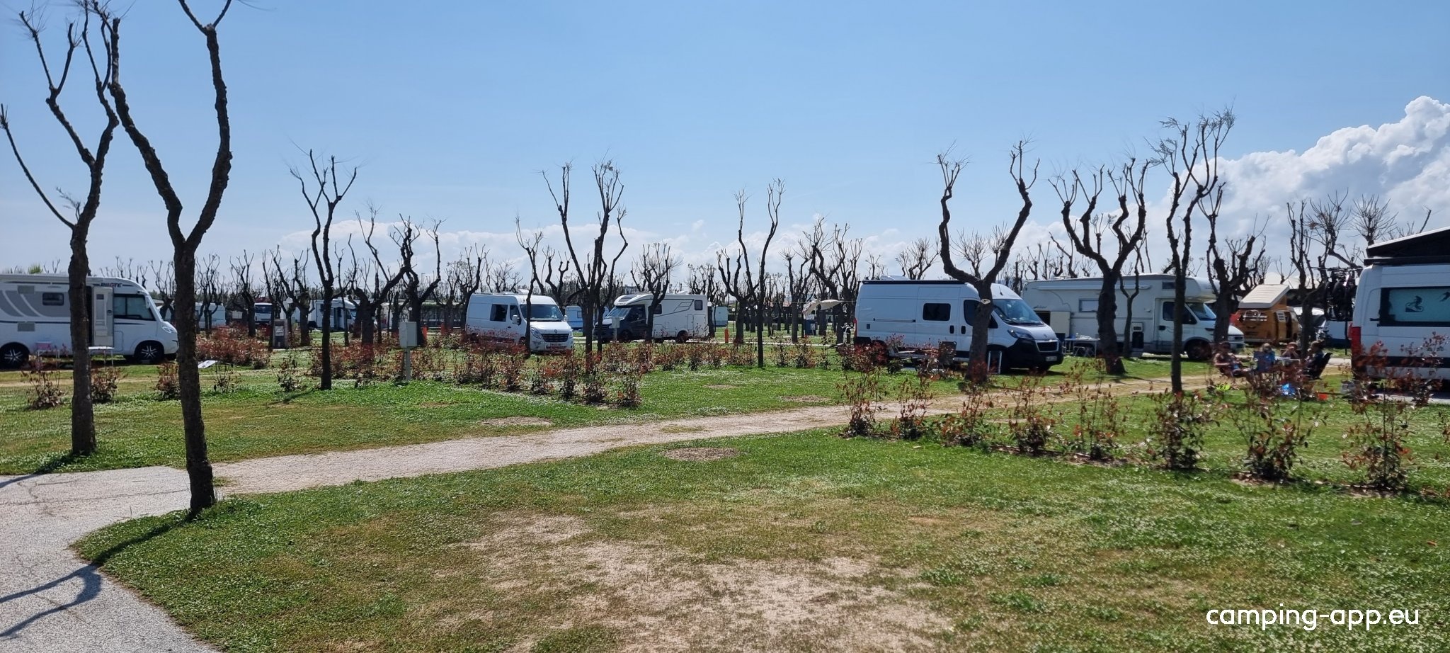 Camping Bellamare — Kemp in Porto Recanati