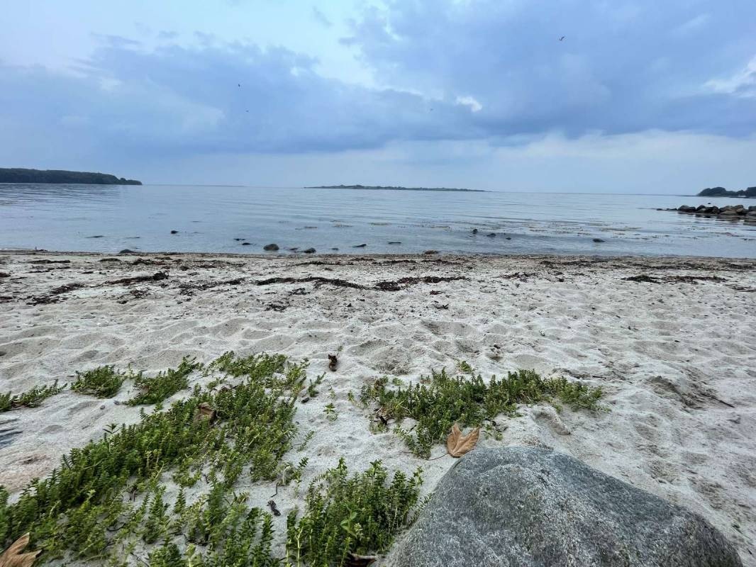 Sandskaer Strandcamping — Camping in Aabenraa