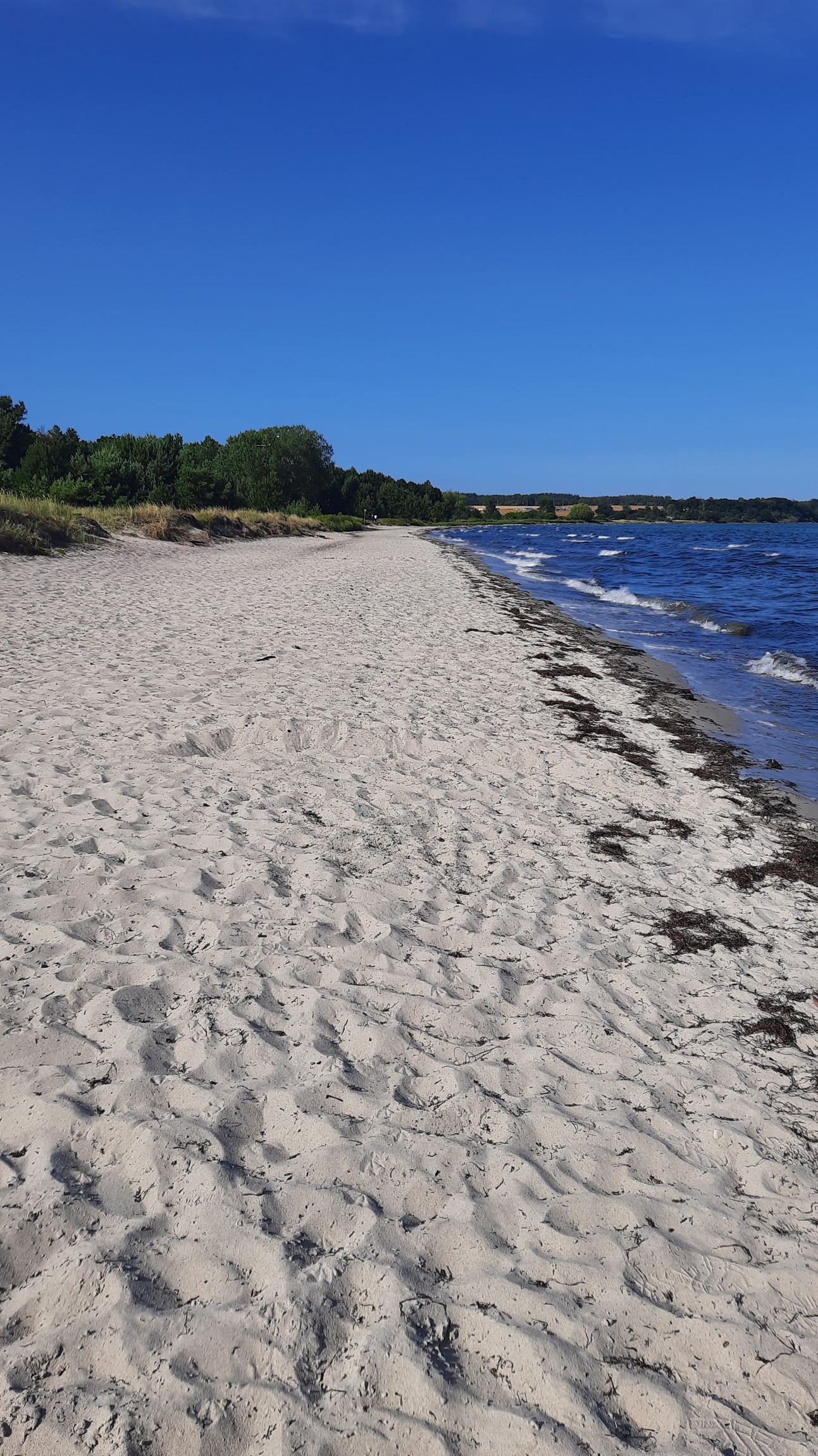 Feddet Strand Camping & Holiday Park — Sítio de acampamento in Faxe