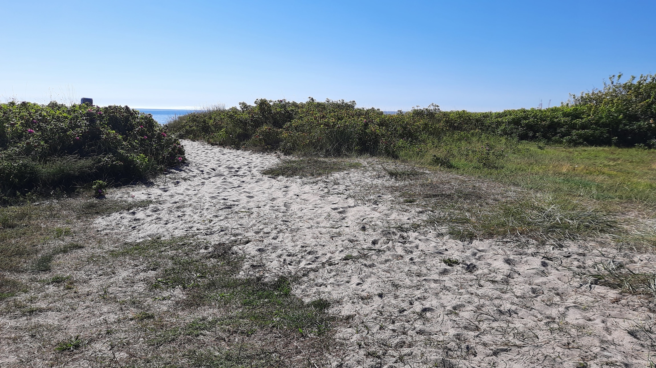 Feddet Strand Camping & Holiday Park — Sítio de acampamento in Faxe