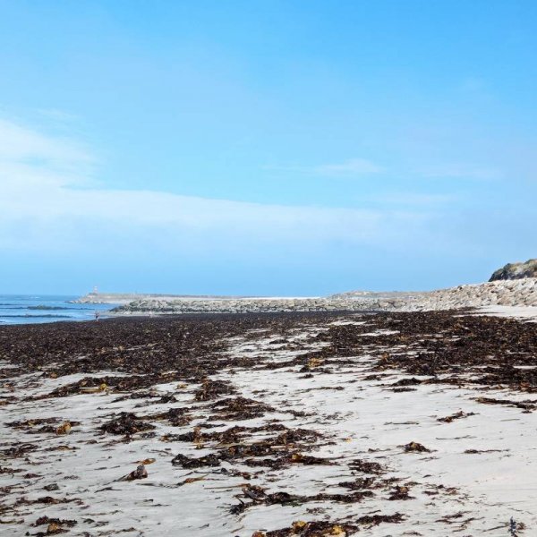 Praia de Castelo do Neiva — Photo 6