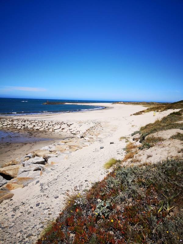 Praia de Castelo do Neiva — Stellplatz in Viana do Castelo