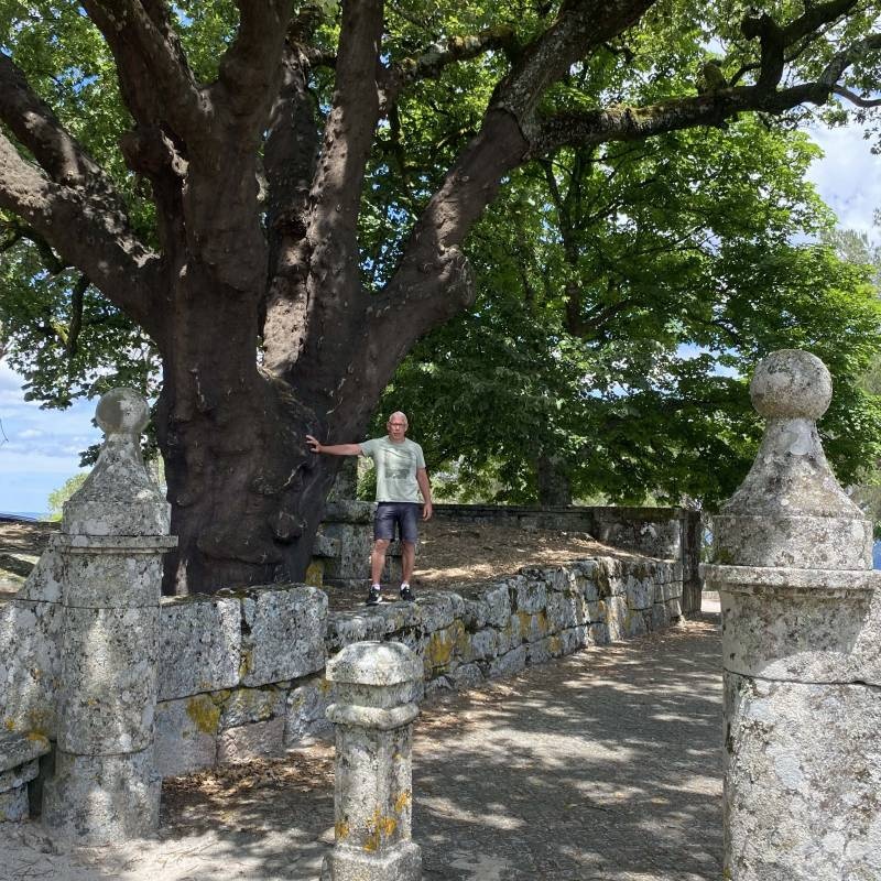 Mangualde — Karavan Sitesi in Mangualde