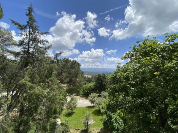 Mangualde — Fotoğraf 2