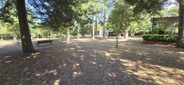 Parque de Merendas de Nossa Senhora do Sabroso — Photo 5