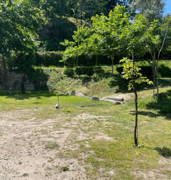 Pichoses Gerês Camping — Photo 3