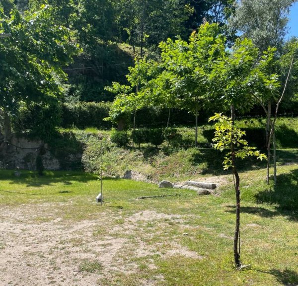 Pichoses Gerês Camping — Photo 6