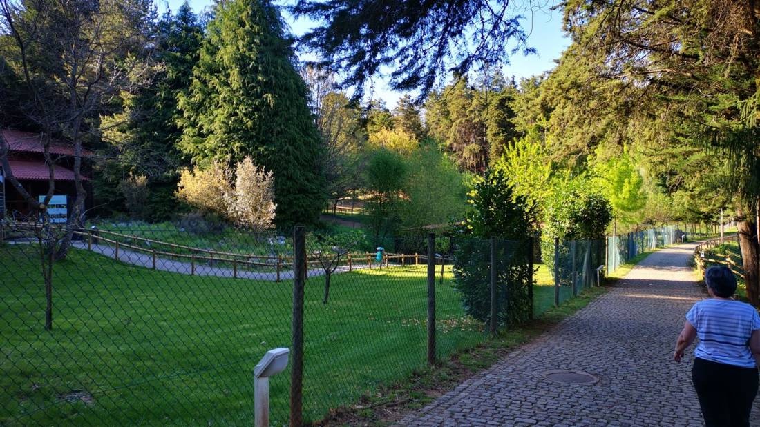 Parque Biológico de Vinhais — Area da campeggio in Vinhais