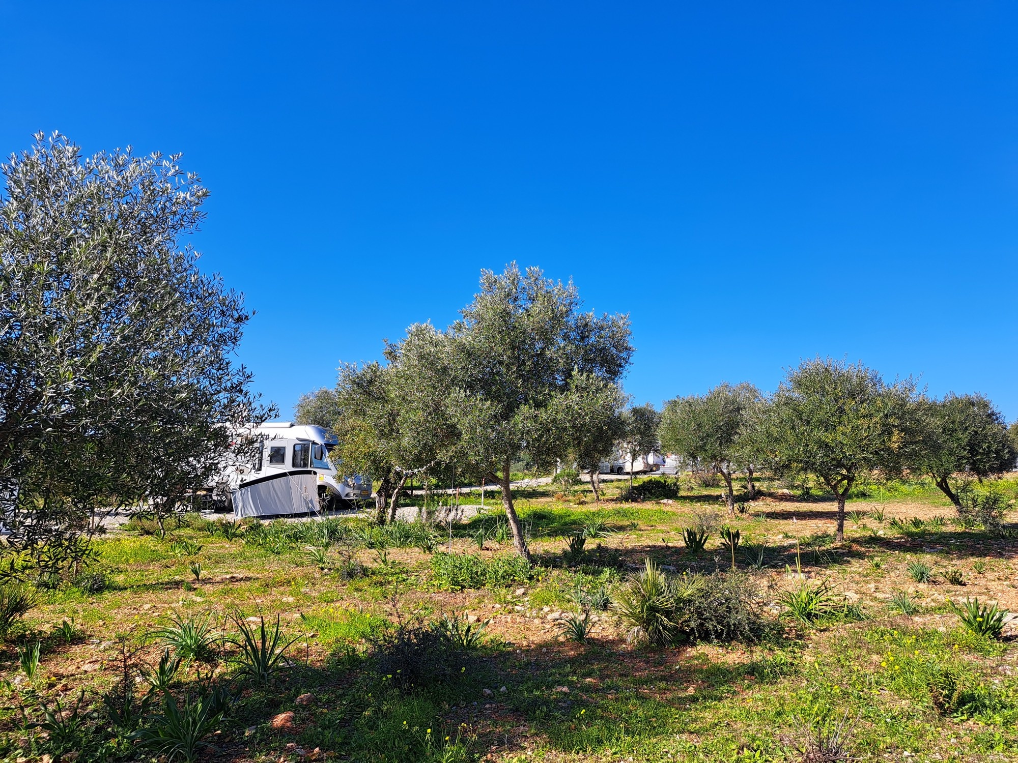 ASA Quinta Da Eira Antiga — Sp. parking dla kamperów in Santo Estevão Tavira