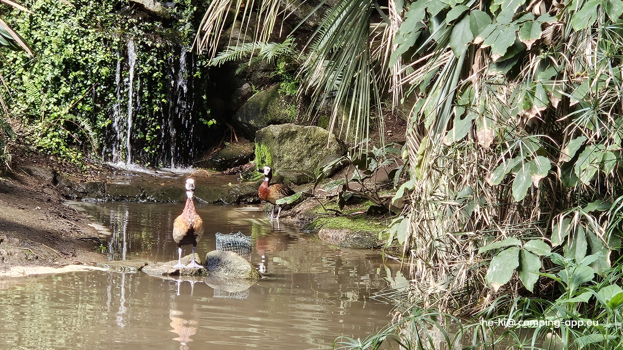 Parque Biológico de Gaia — Foto 4