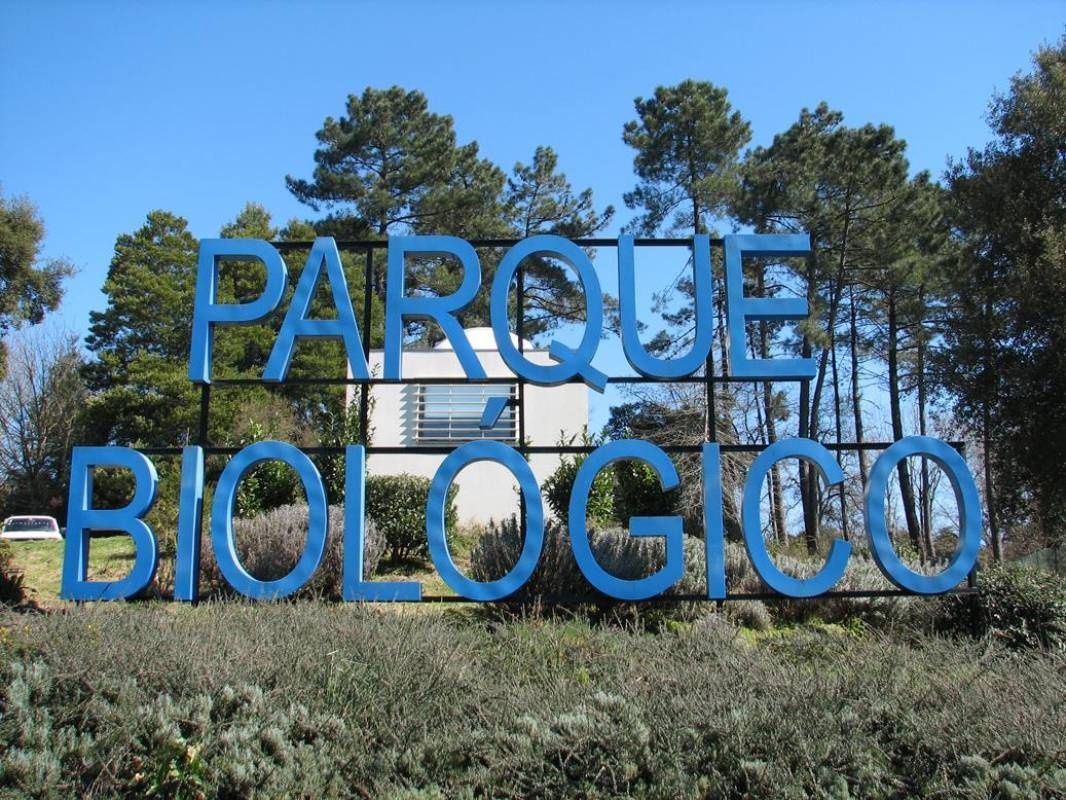 Parque Biológico de Gaia — Stellplatz in Avintes