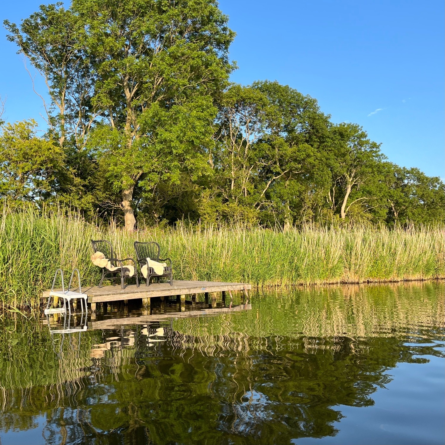 Camperplaats Marnic Hoeve — Stellplatz in Middenmeer
