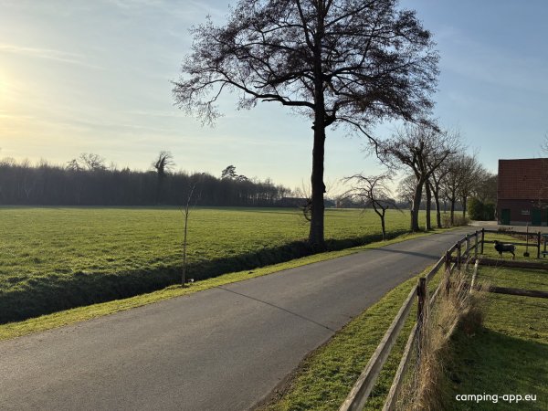 Wohnmobilstellplatz in Südlohn-Oeding auf dem Hof Wameling — Foto 3