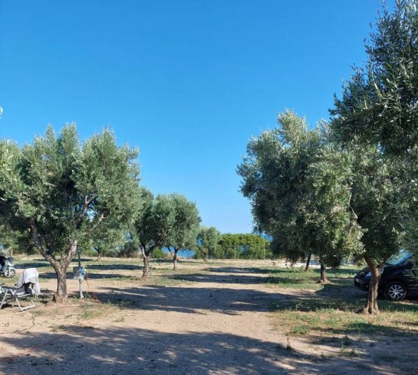 Area Sosta Mare Azzurro — Photo 2