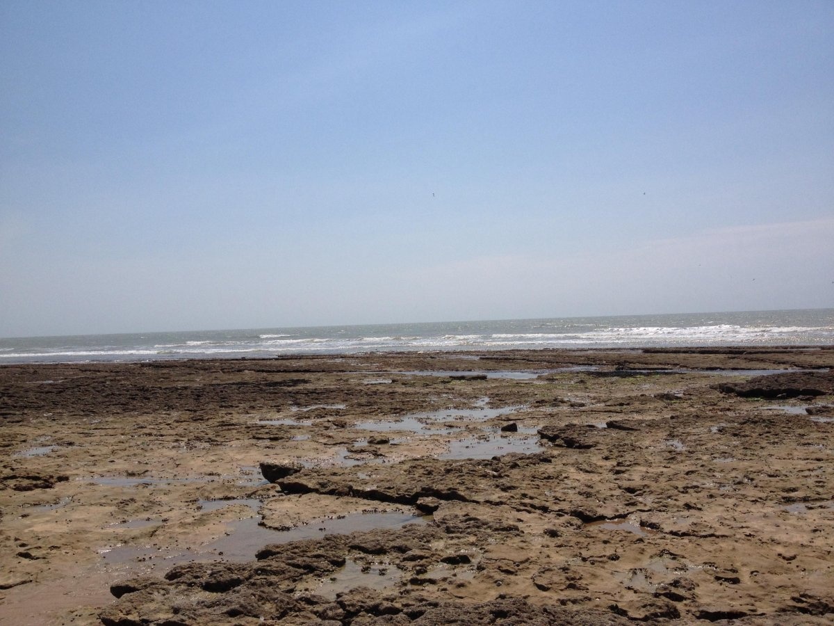 Stellplatz Jard-sur-Mer — Area Autocaravanas in Jard-sur-Mer