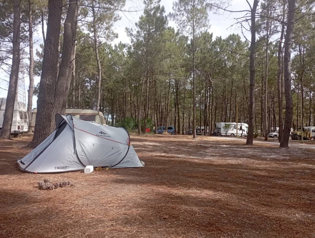 Camping Vasco da Gama — Camping in Pinhal Novo