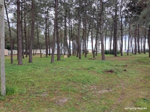 Camping Vasco da Gama — Photo 4