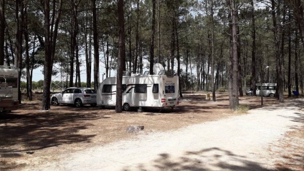 Camping Vasco da Gama — Photo 2