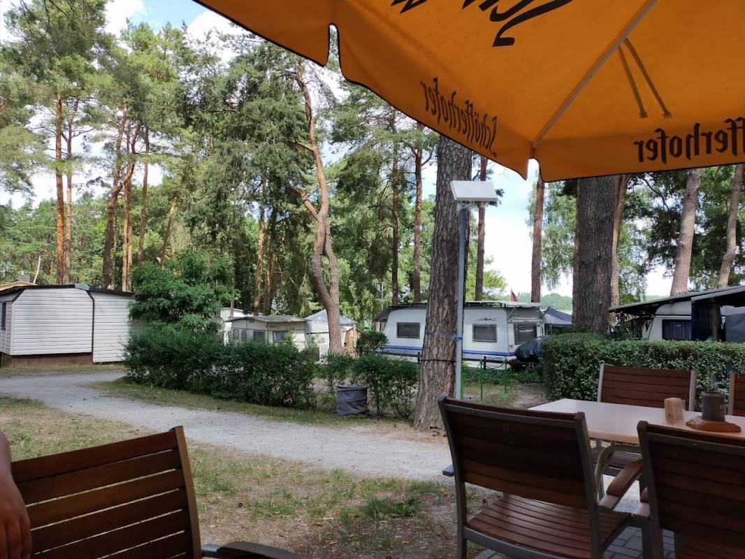 Parque Municipal de Campismo de Espinho — Campingplads in 