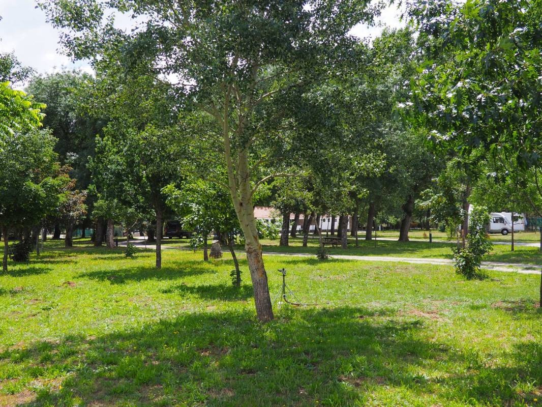 Valhelhas Camping — Camping Site in Manteigas