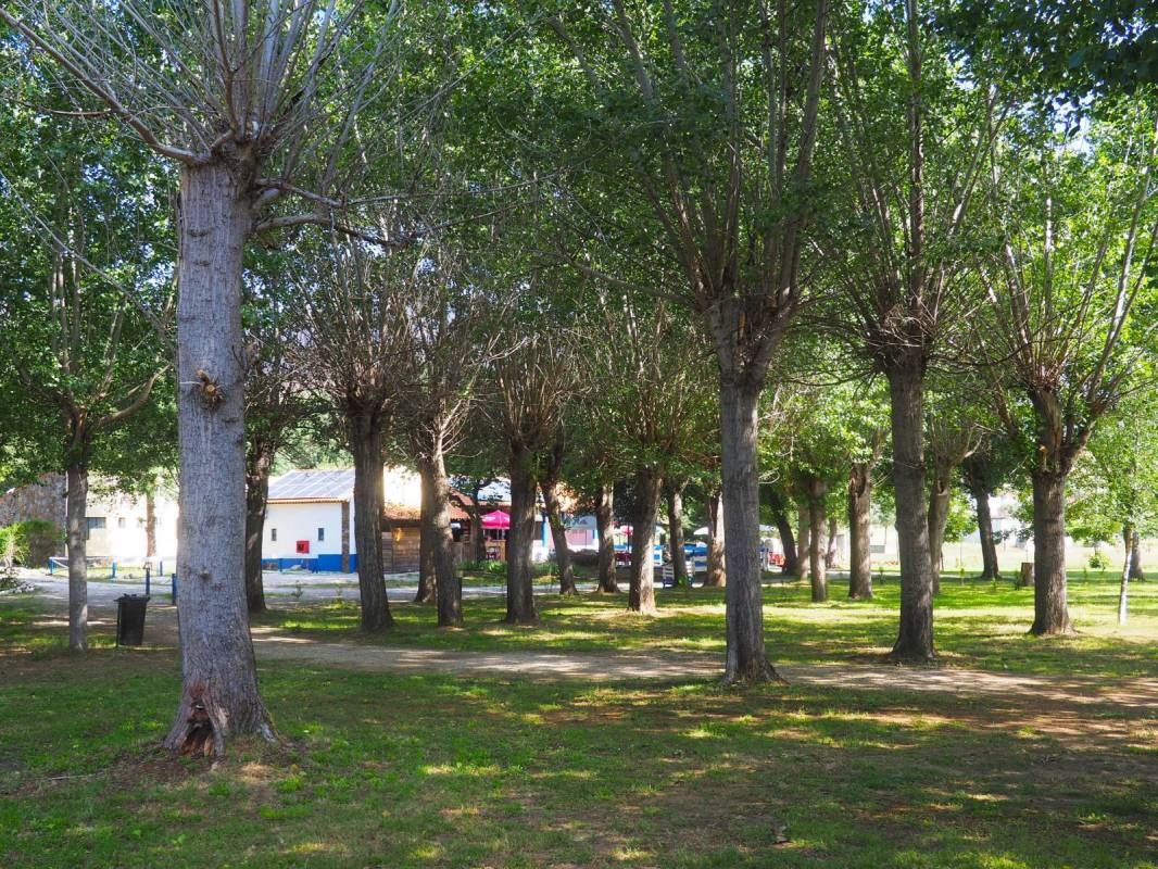 Valhelhas Camping — Campingplads in Manteigas