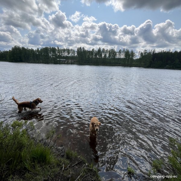 Ydrefors Camping — Photo 5