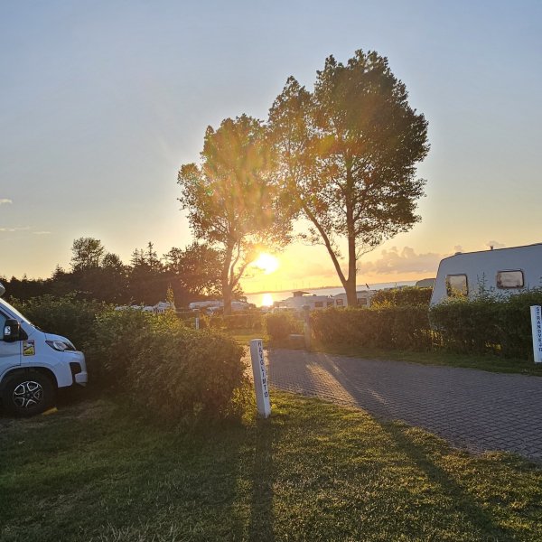 Drejby Strand Camping — Foto 4