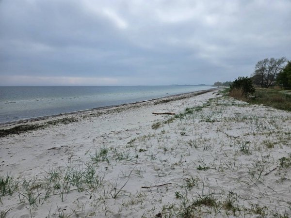 Trelleborg Strand Camping — Photo 2