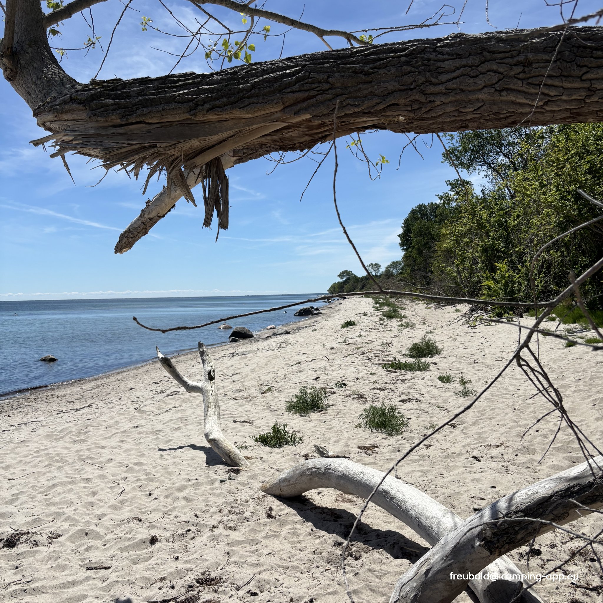 Ulslev Strand Camping — Fotografie 3