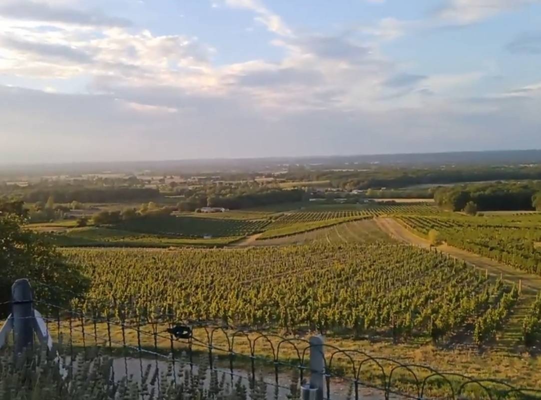 Domaine de Montlong — Winery in Pomport