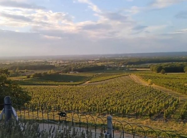 Domaine de Montlong — Photo 4