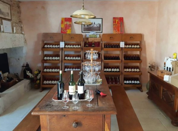 Domaine de Montlong — Photo 3